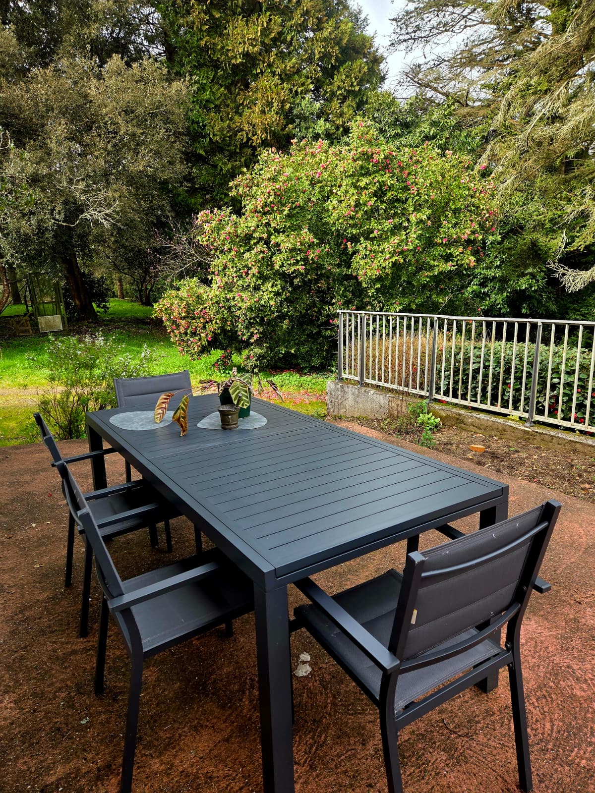 La terrasse et le jardin en fleurs